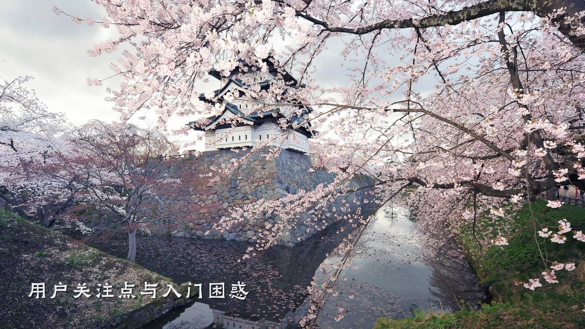 用户关注点与入门困惑