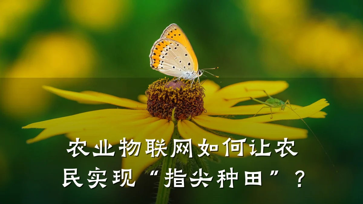 农业物联网如何让农民实现“指尖种田”？