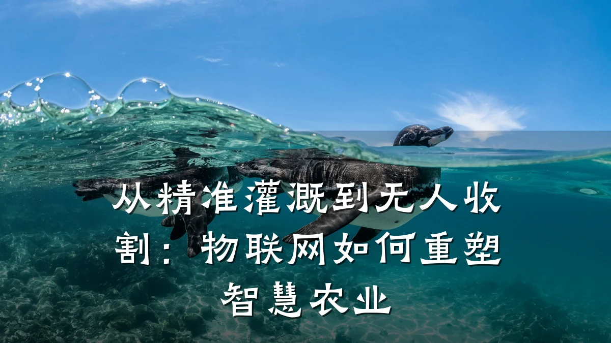 从精准灌溉到无人收割：物联网如何重塑智慧农业