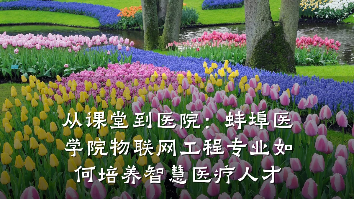 从课堂到医院：蚌埠医学院物联网工程专业如何培养智慧医疗人才