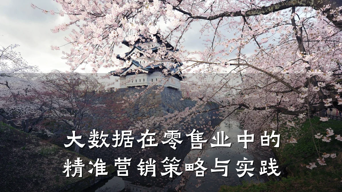 大数据在零售业中的精准营销策略与实践