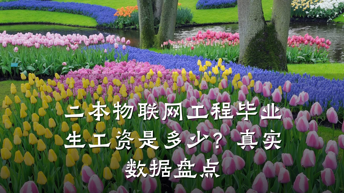 二本物联网工程毕业生工资是多少？真实数据盘点