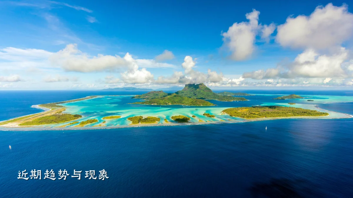 近期趋势与现象