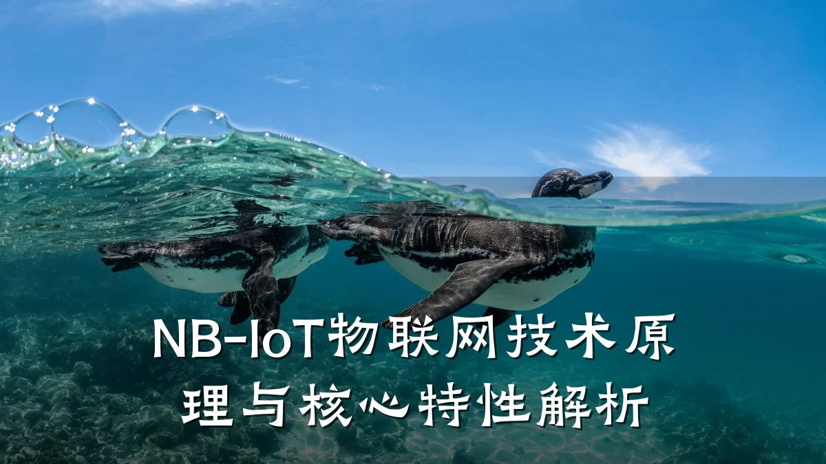 NB-IoT物联网技术原理与核心特性解析
