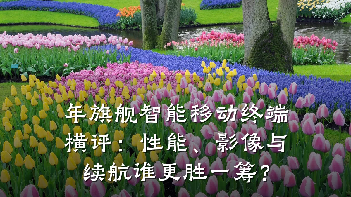 年旗舰智能移动终端横评：性能、影像与续航谁更胜一筹？