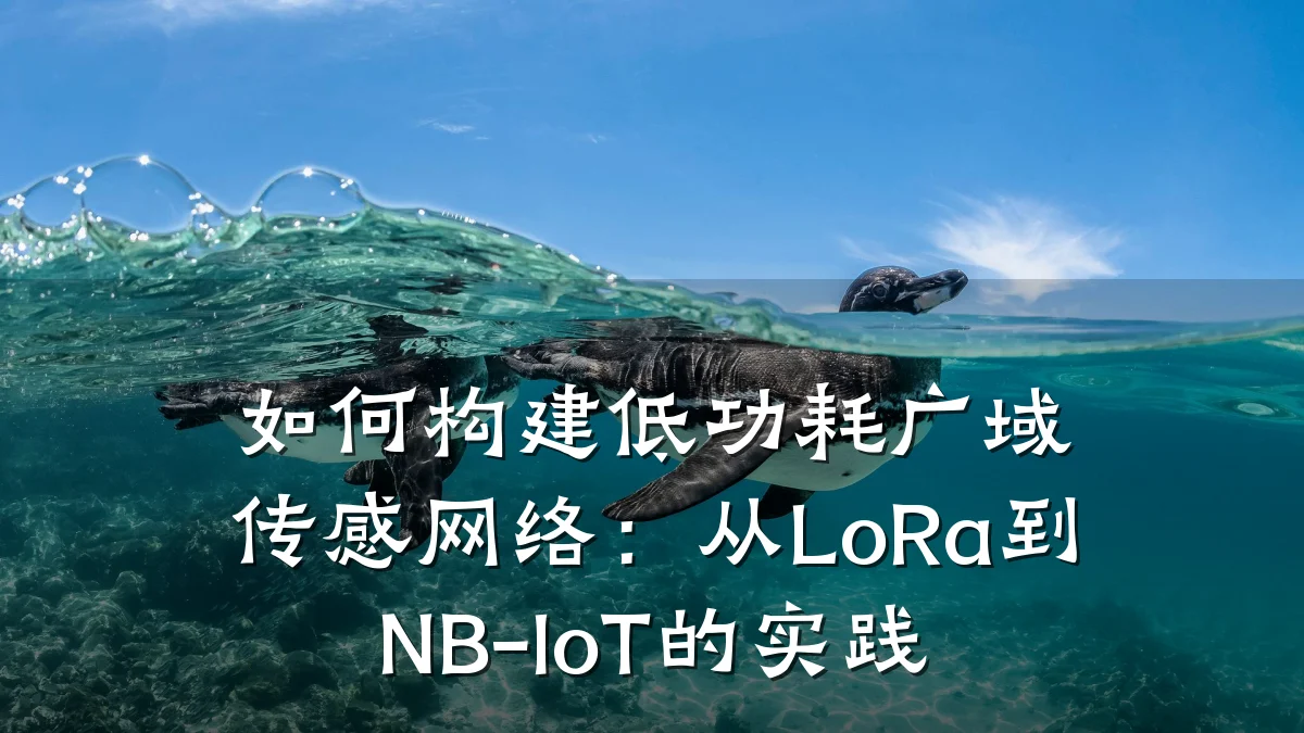 如何构建低功耗广域传感网络：从LoRa到NB-IoT的实践