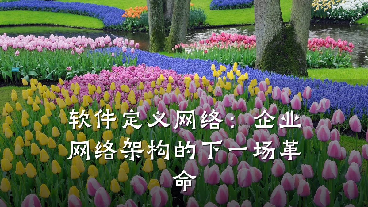 软件定义网络：企业网络架构的下一场革命