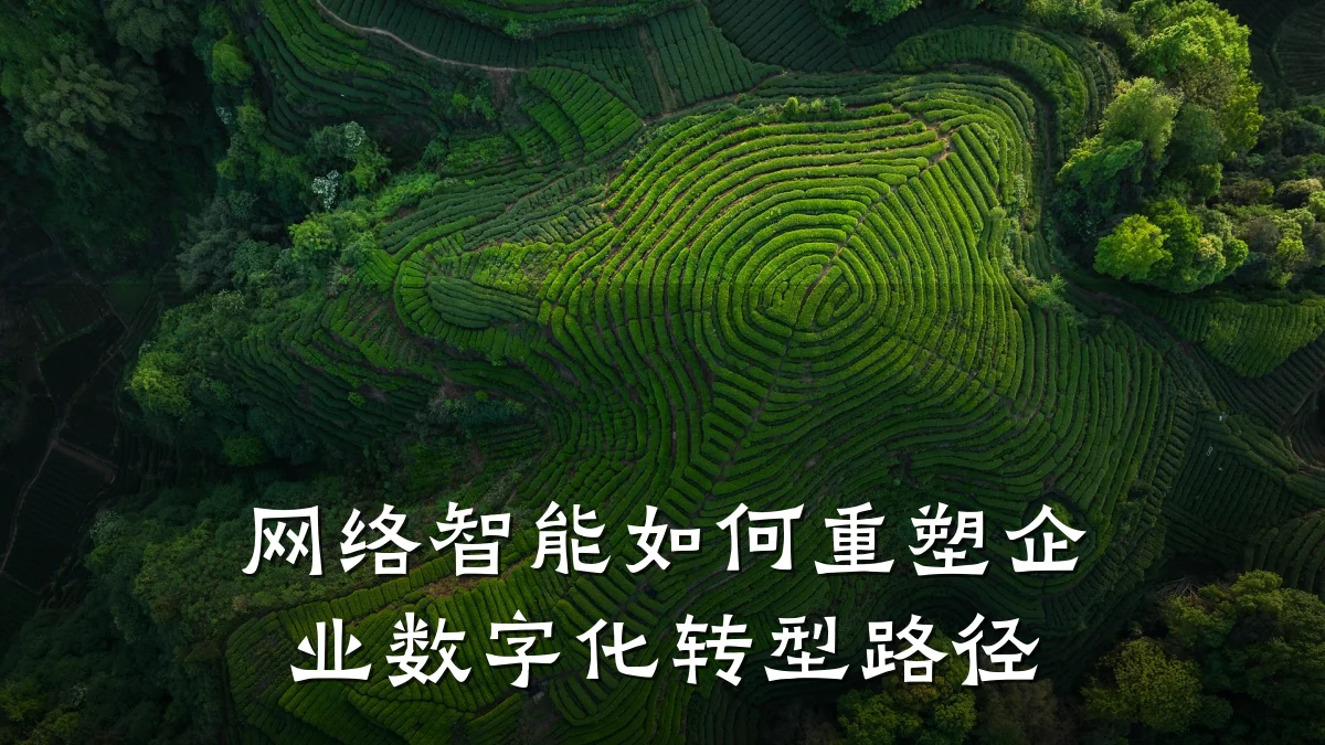 网络智能如何重塑企业数字化转型路径