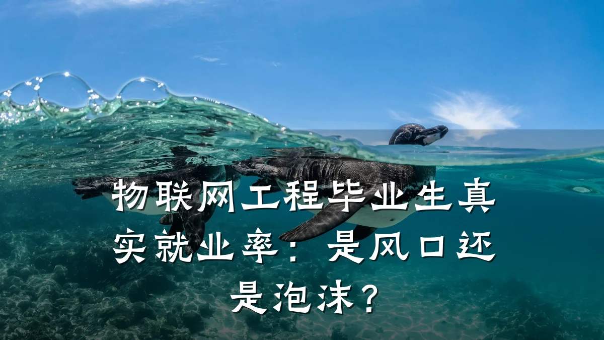 物联网工程毕业生真实就业率：是风口还是泡沫？