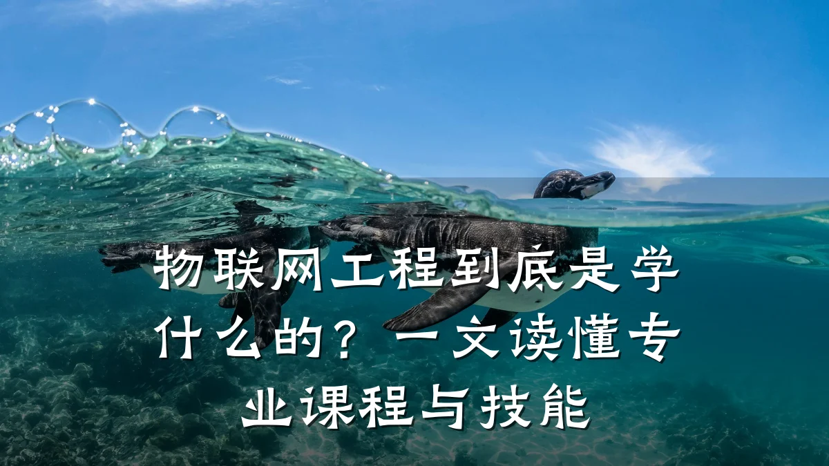 物联网工程到底是学什么的？一文读懂专业课程与技能