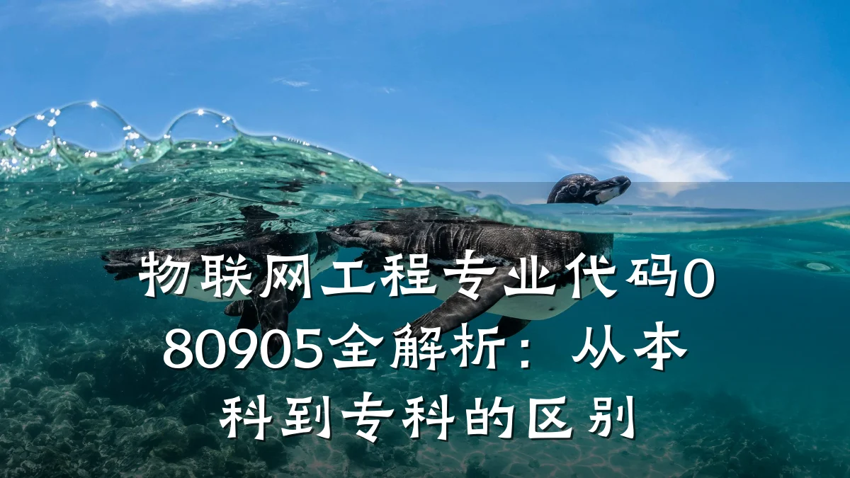物联网工程专业代码080905全解析：从本科到专科的区别