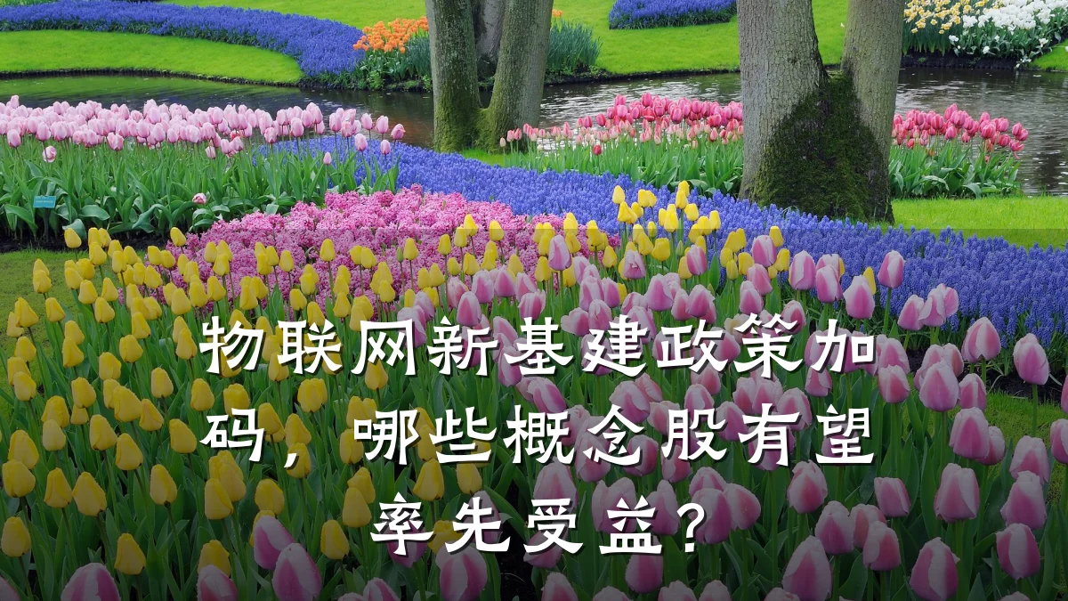 物联网新基建政策加码，哪些概念股有望率先受益？