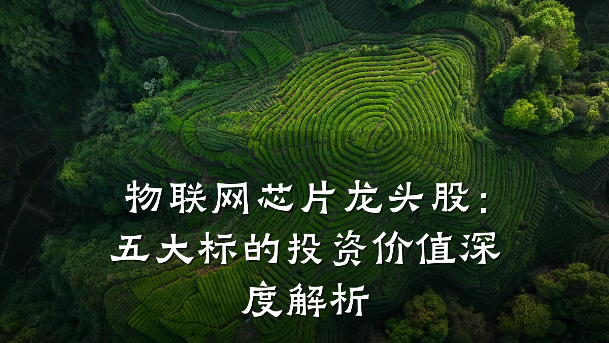 物联网芯片龙头股：五大标的投资价值深度解析