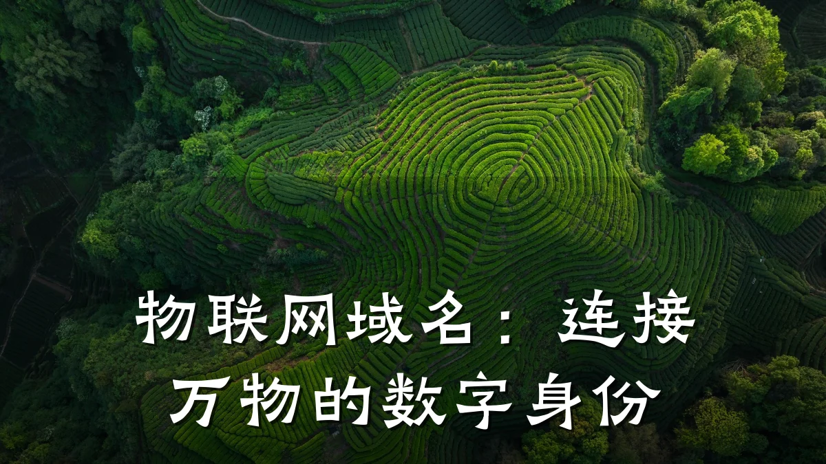 物联网域名：连接万物的数字身份