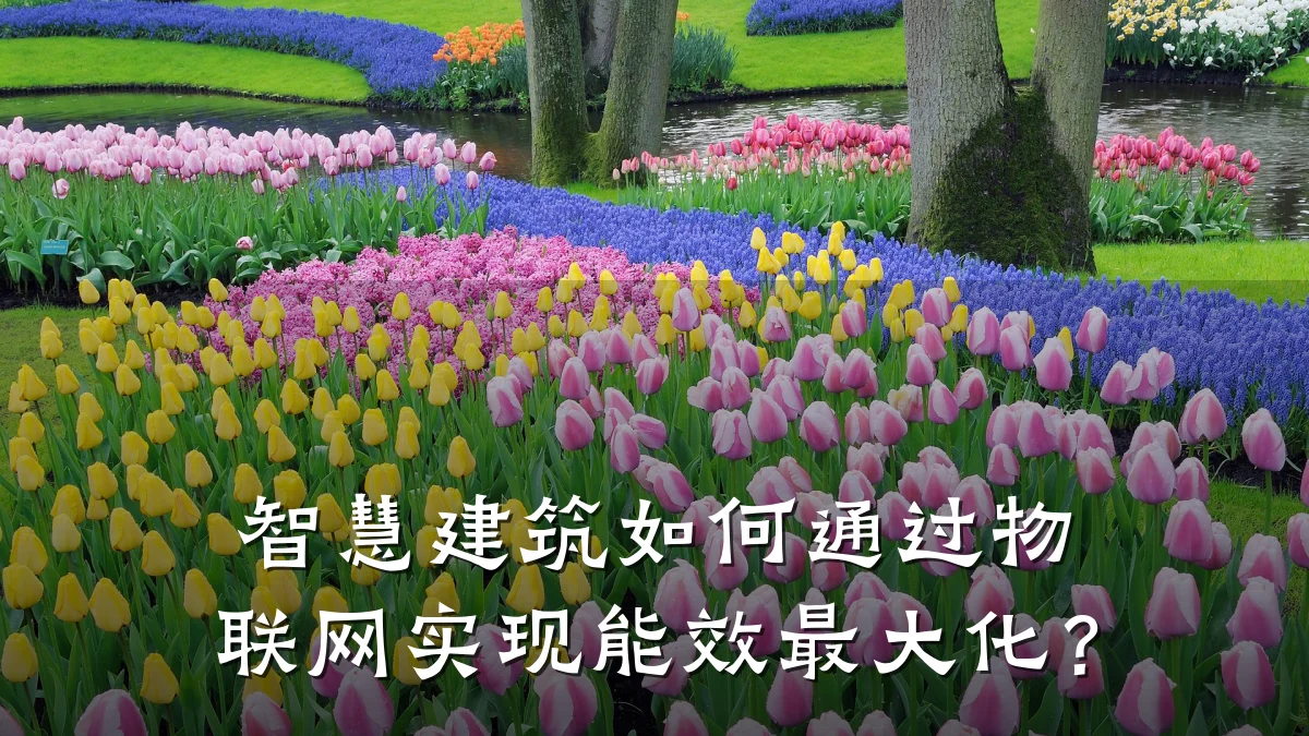 智慧建筑如何通过物联网实现能效最大化？