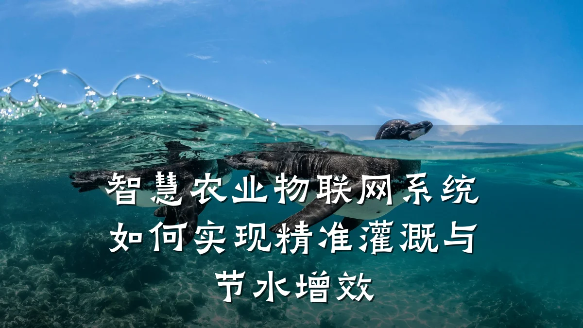 智慧农业物联网系统如何实现精准灌溉与节水增效