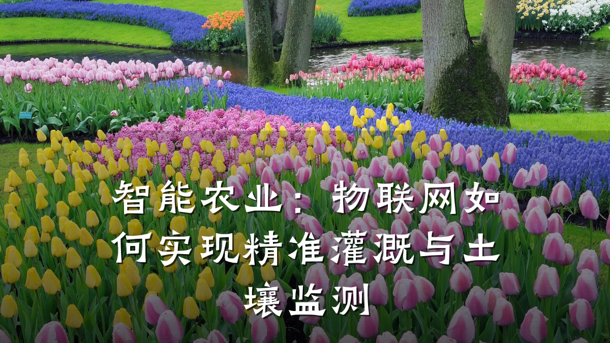 智能农业：物联网如何实现精准灌溉与土壤监测