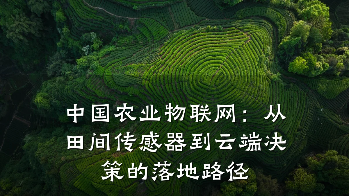 中国农业物联网：从田间传感器到云端决策的落地路径