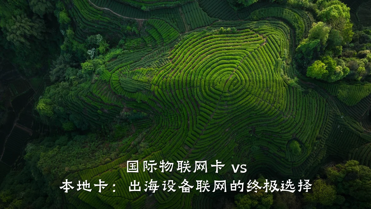 国际物联网卡 vs 本地卡：出海设备联网的终极选择