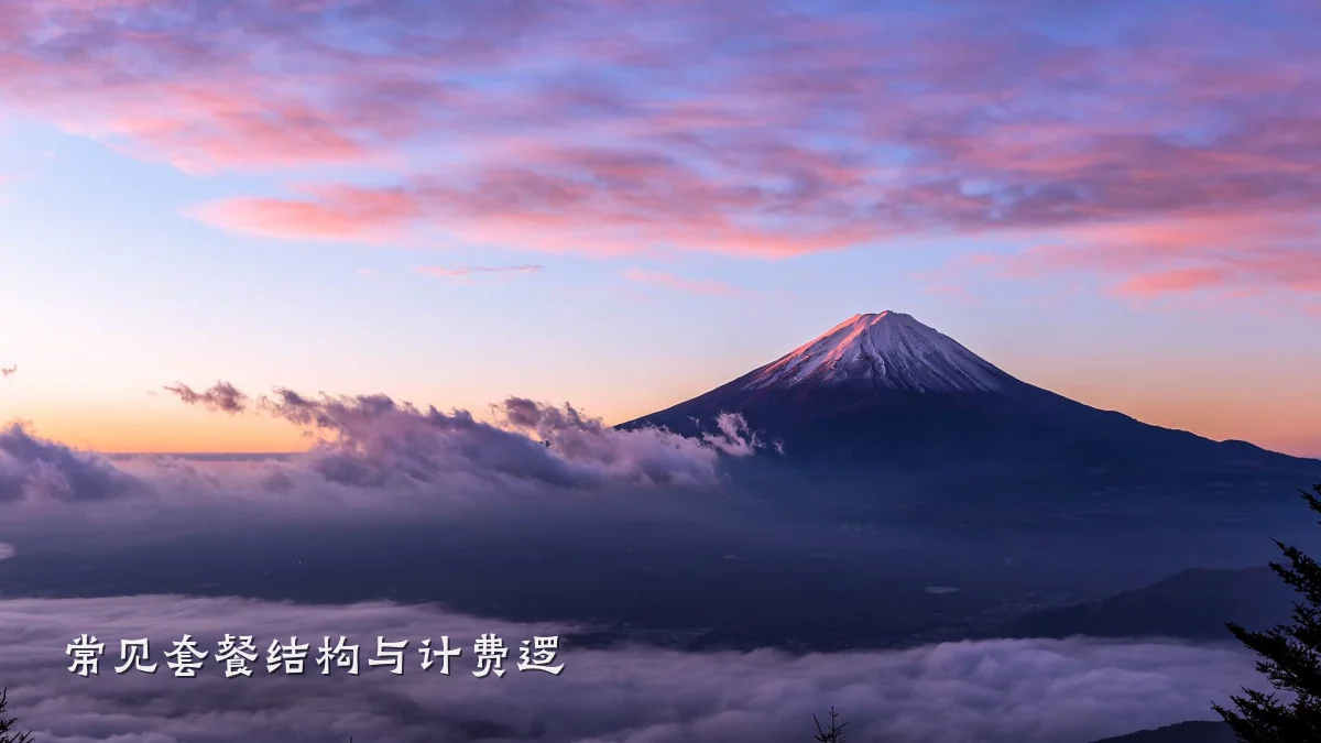 常见套餐结构与计费逻
