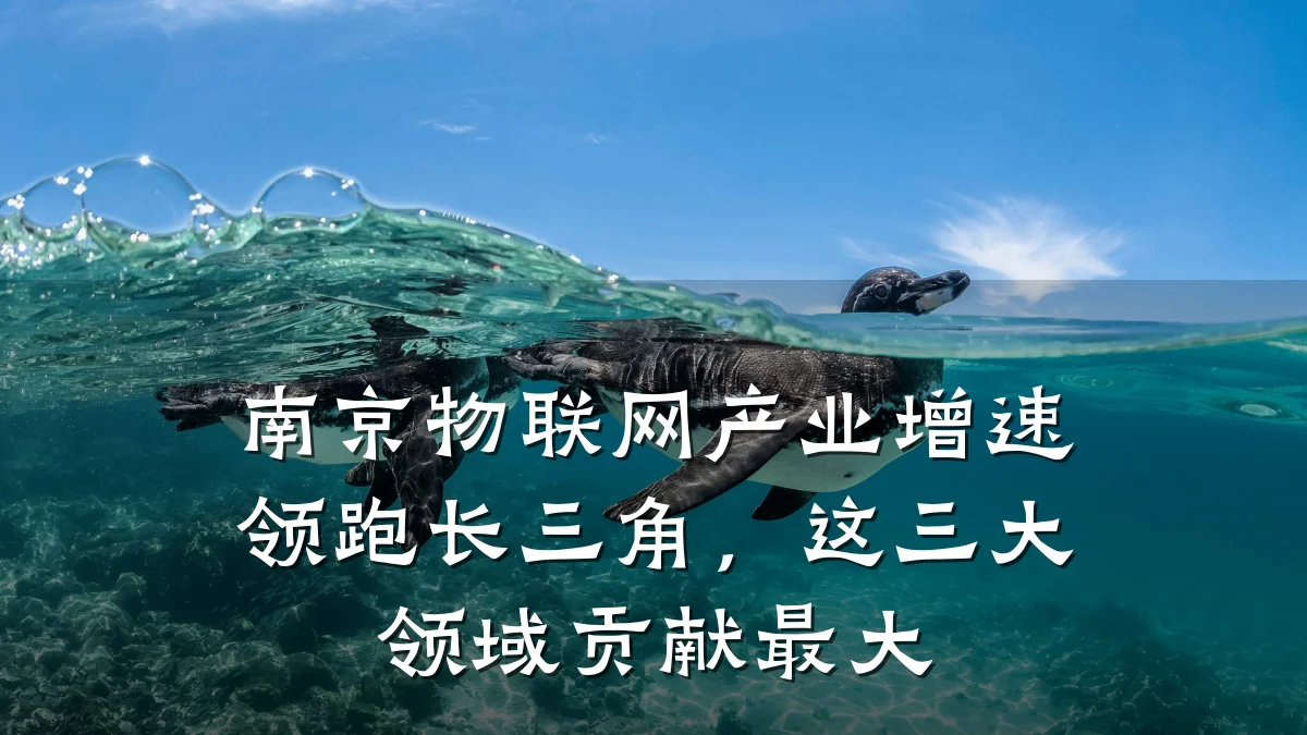 南京物联网产业增速领跑长三角，这三大领域贡献最大