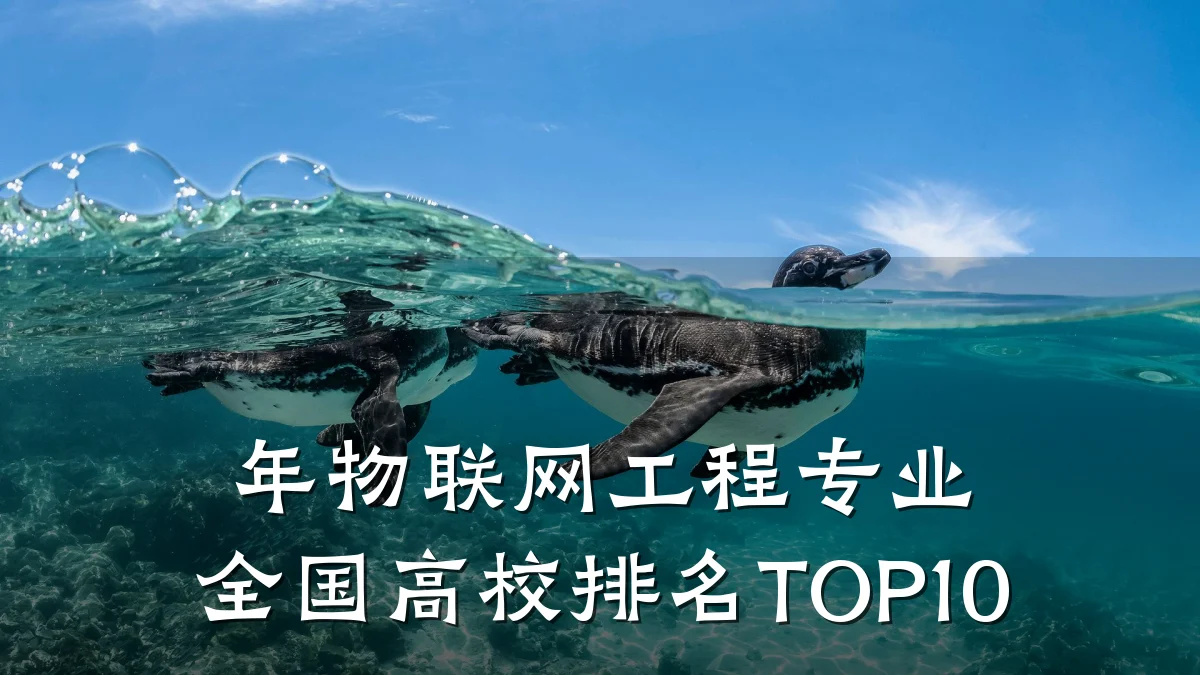 年物联网工程专业全国高校排名TOP10