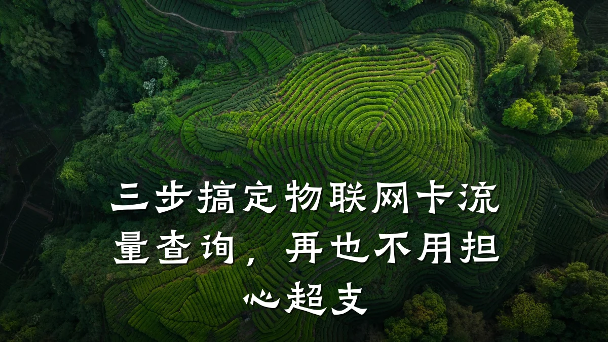 三步搞定物联网卡流量查询，再也不用担心超支