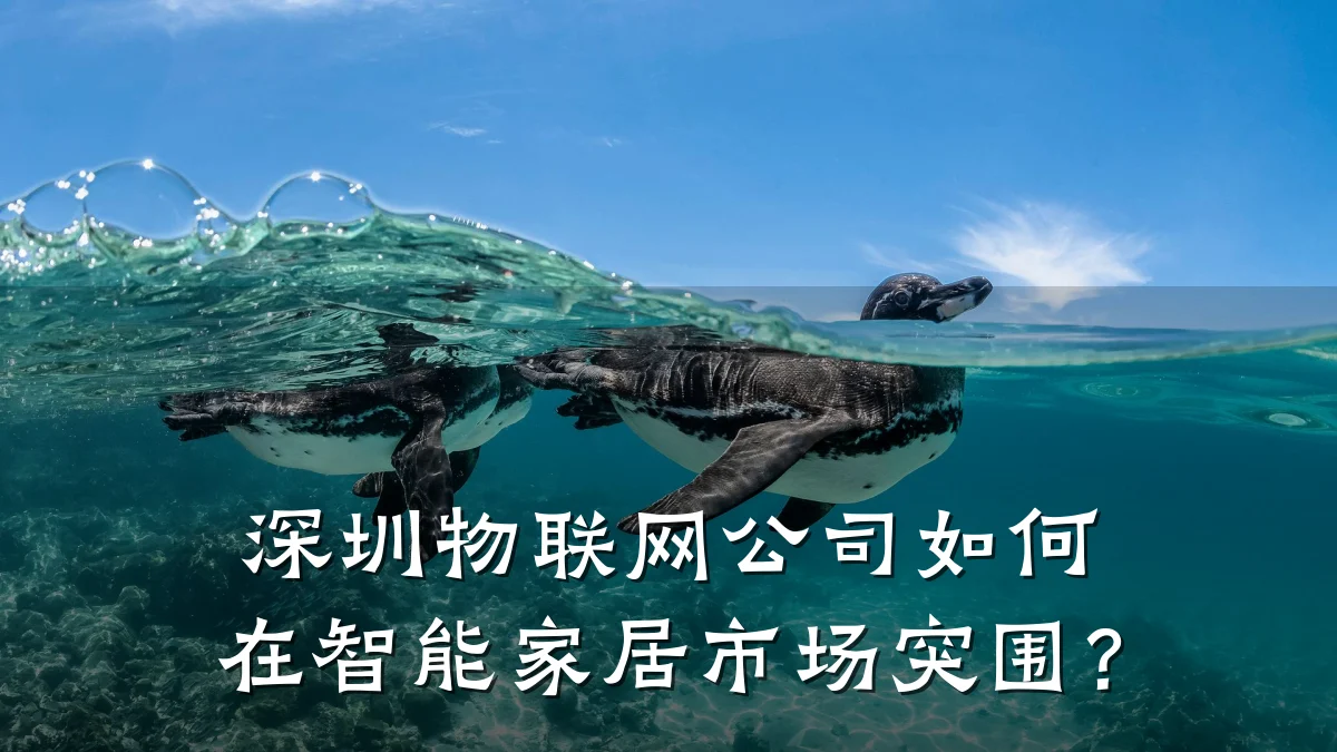 深圳物联网公司如何在智能家居市场突围？