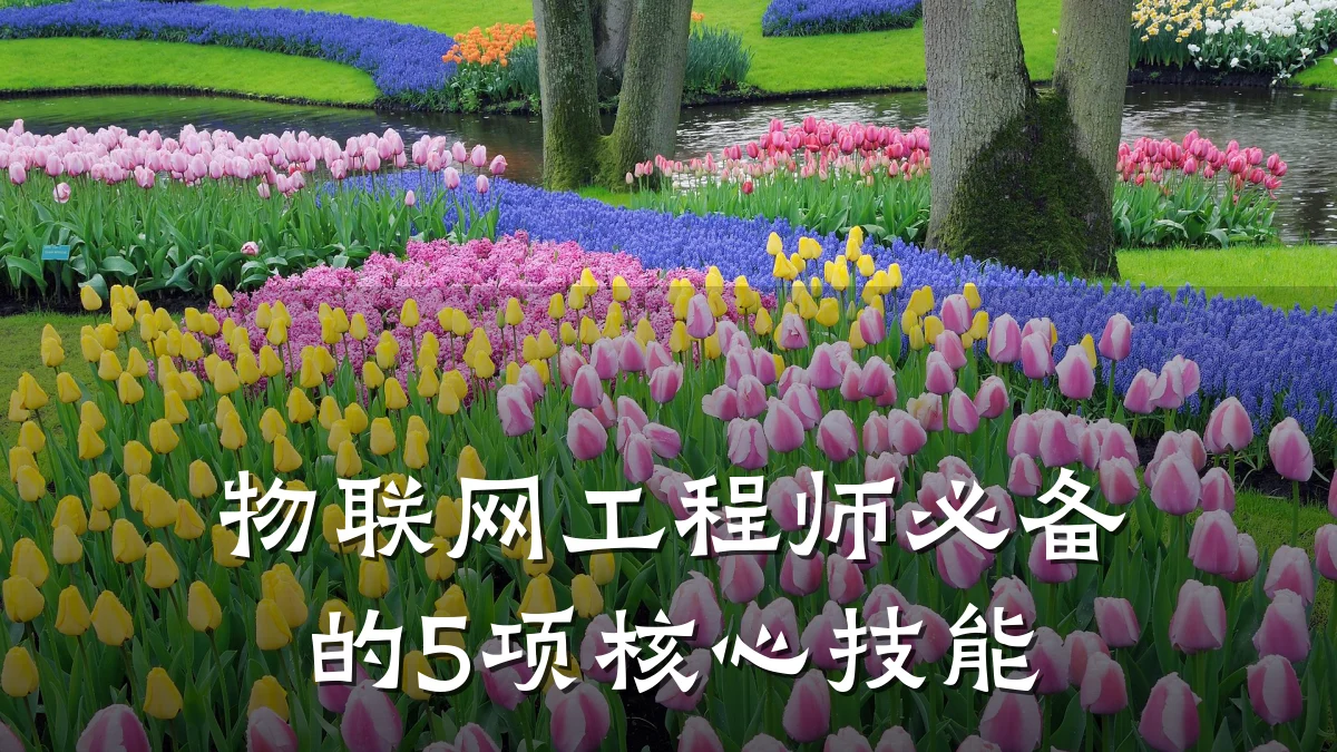 物联网工程师必备的5项核心技能