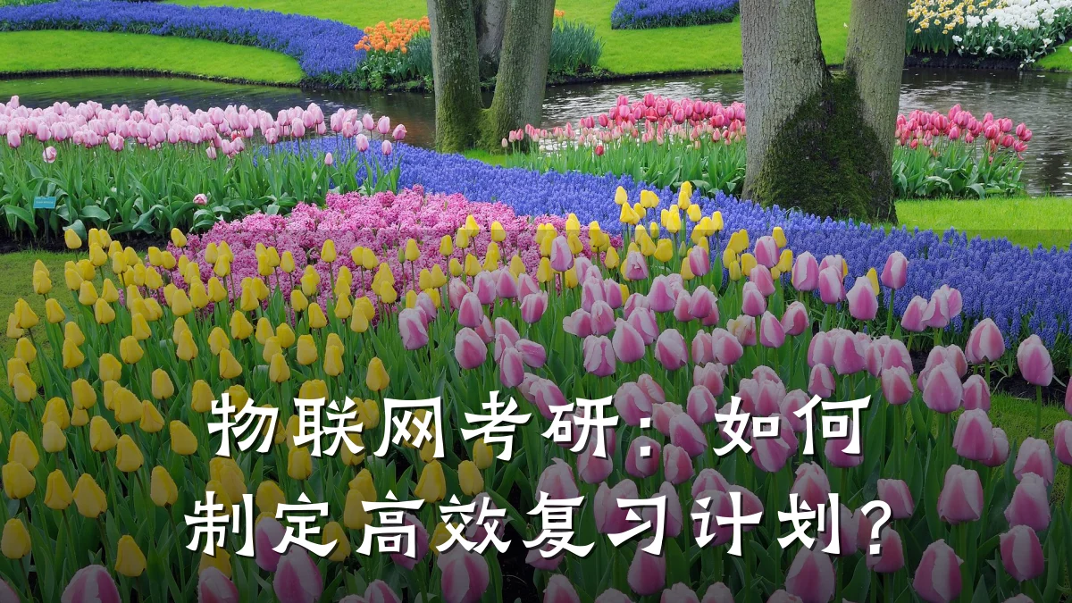 物联网考研：如何制定高效复习计划？