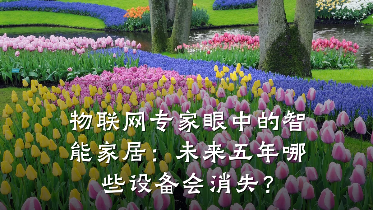 物联网专家眼中的智能家居：未来五年哪些设备会消失？