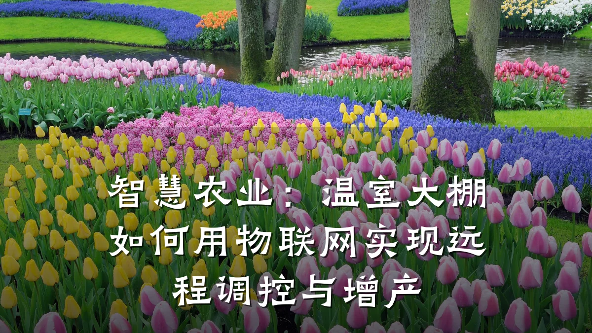 智慧农业：温室大棚如何用物联网实现远程调控与增产