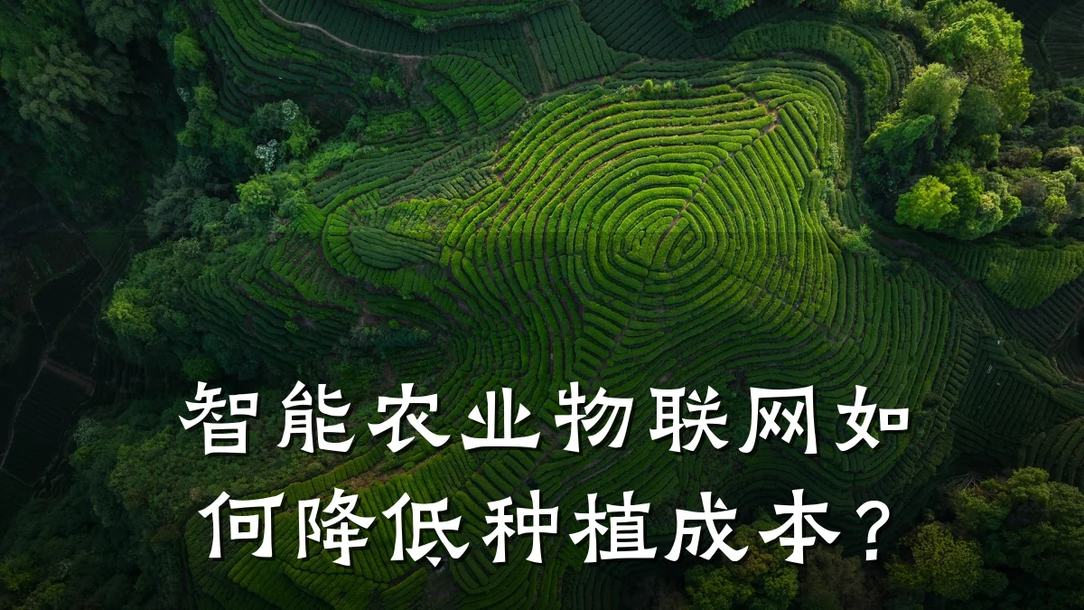 智能农业物联网如何降低种植成本？