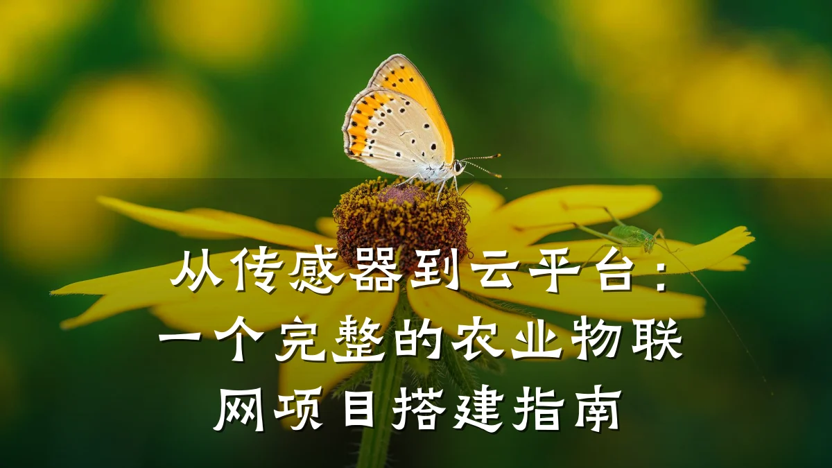 从传感器到云平台：一个完整的农业物联网项目搭建指南