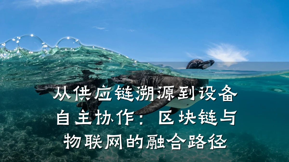 从供应链溯源到设备自主协作：区块链与物联网的融合路径