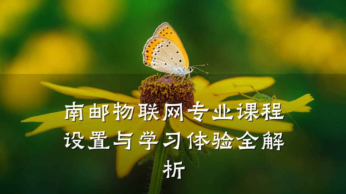 南邮物联网专业课程设置与学习体验全解析