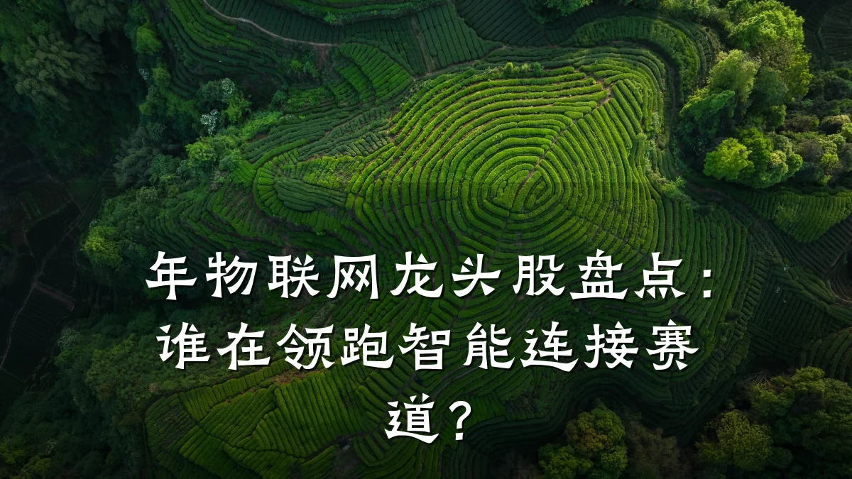 年物联网龙头股盘点：谁在领跑智能连接赛道？