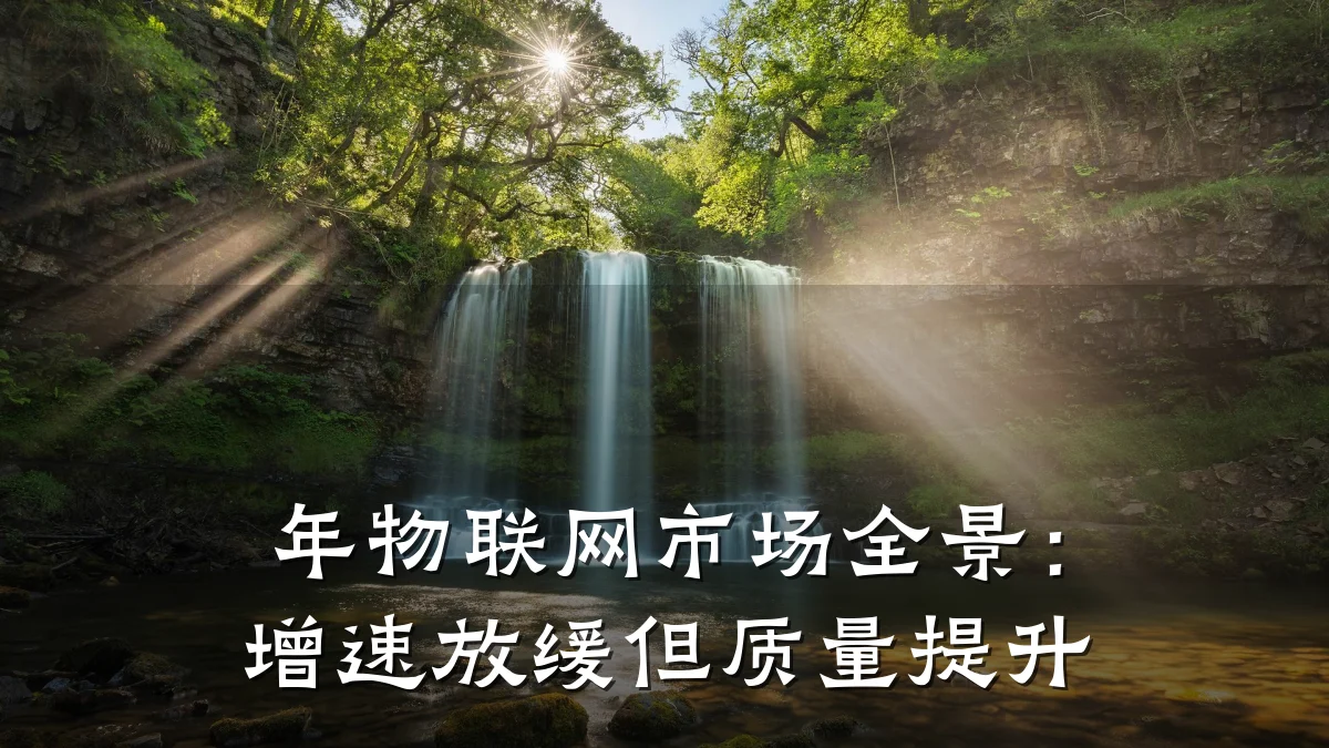年物联网市场全景:增速放缓但质量提升