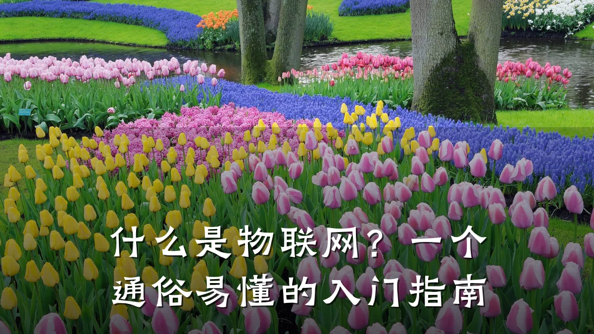 什么是物联网？一个通俗易懂的入门指南
