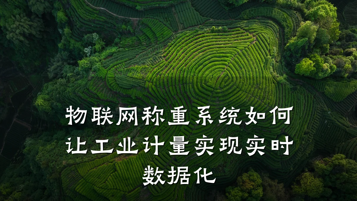 物联网称重系统如何让工业计量实现实时数据化
