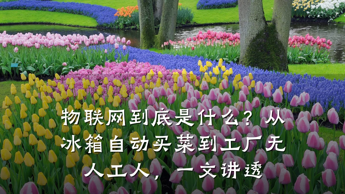物联网到底是什么？从冰箱自动买菜到工厂无人工人，一文讲透