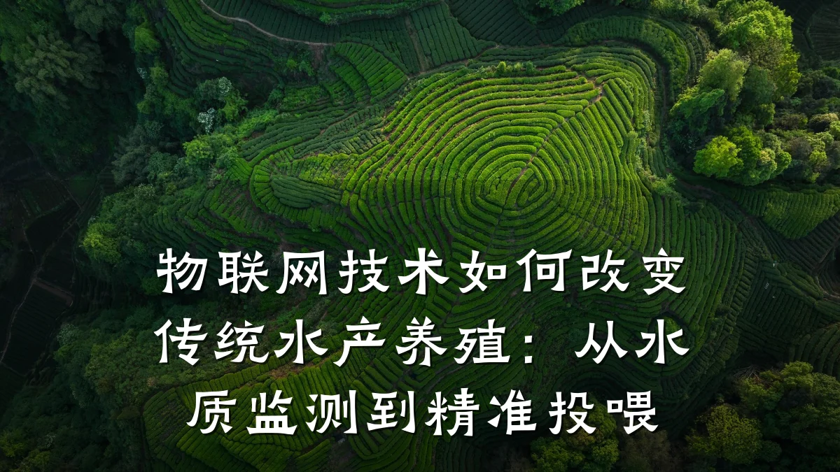 物联网技术如何改变传统水产养殖：从水质监测到精准投喂