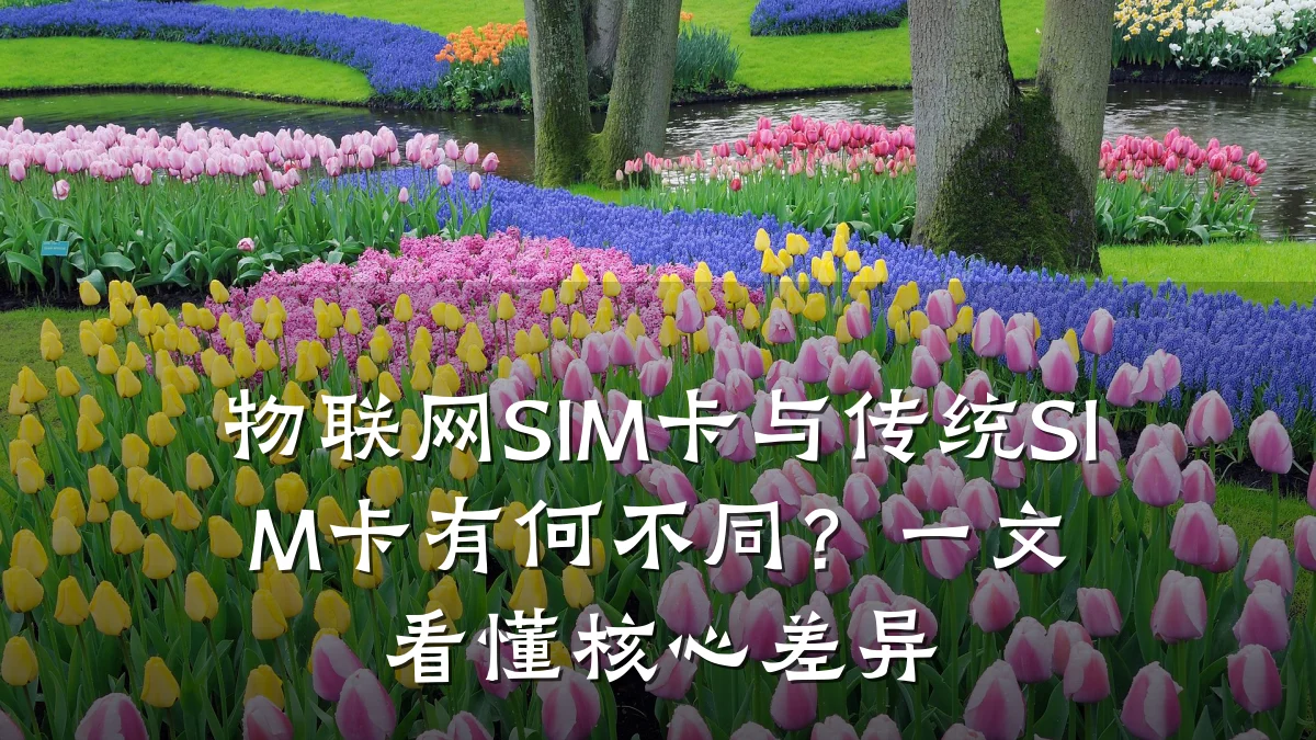 物联网SIM卡与传统SIM卡有何不同？一文看懂核心差异