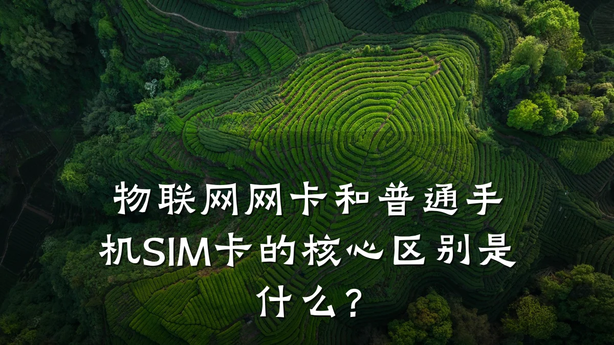 物联网网卡和普通手机SIM卡的核心区别是什么？