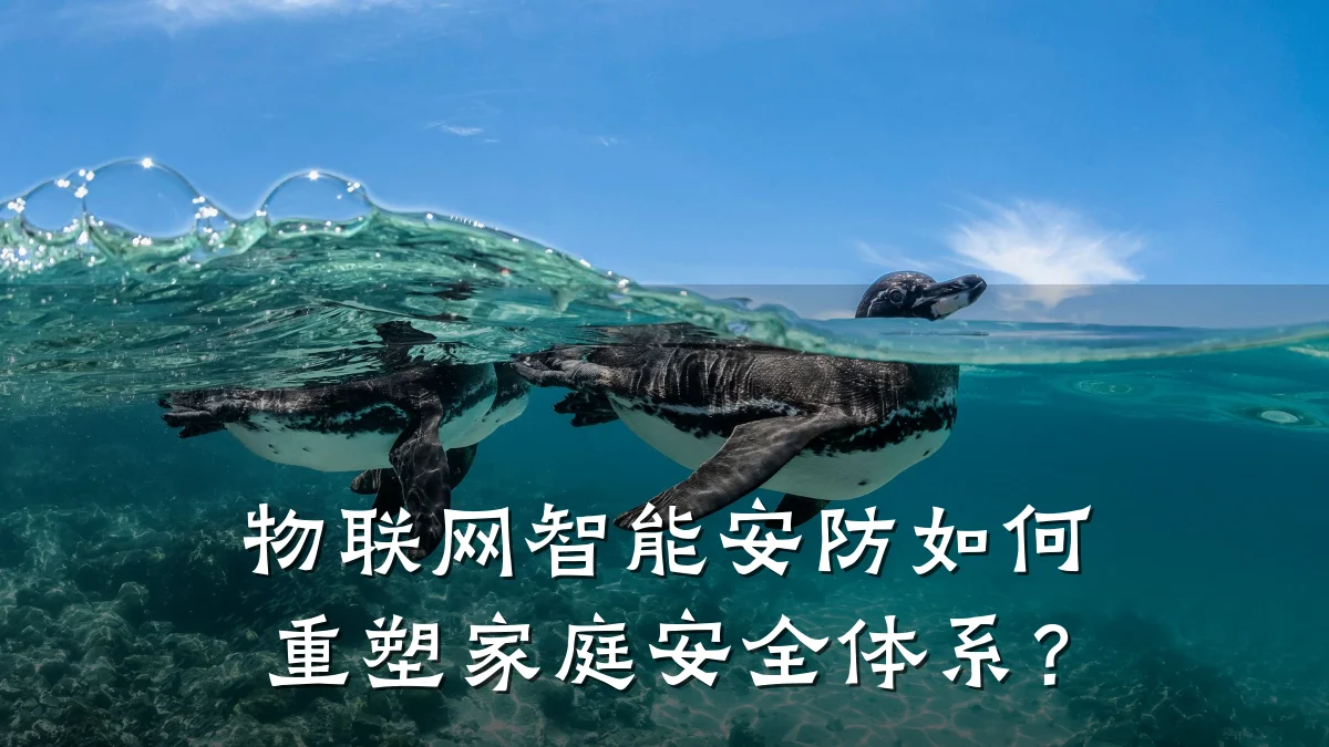 物联网智能安防如何重塑家庭安全体系？
