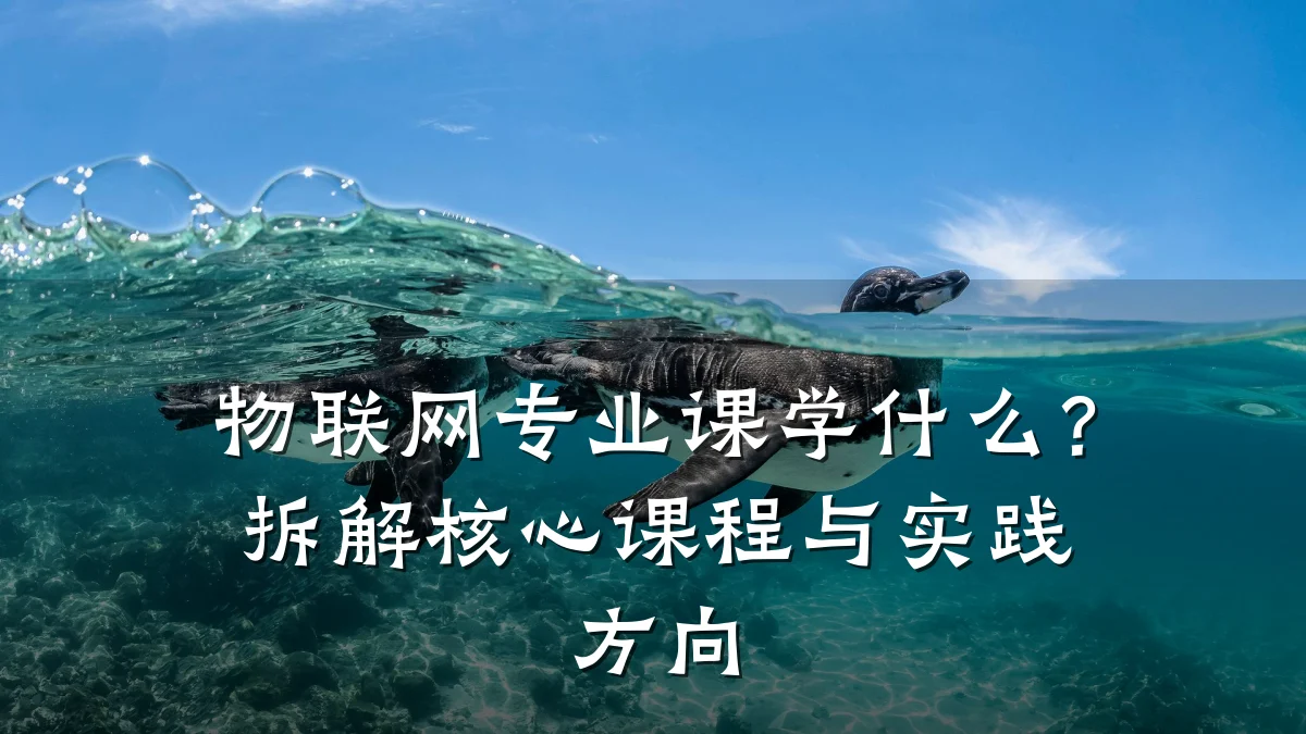物联网专业课学什么？拆解核心课程与实践方向