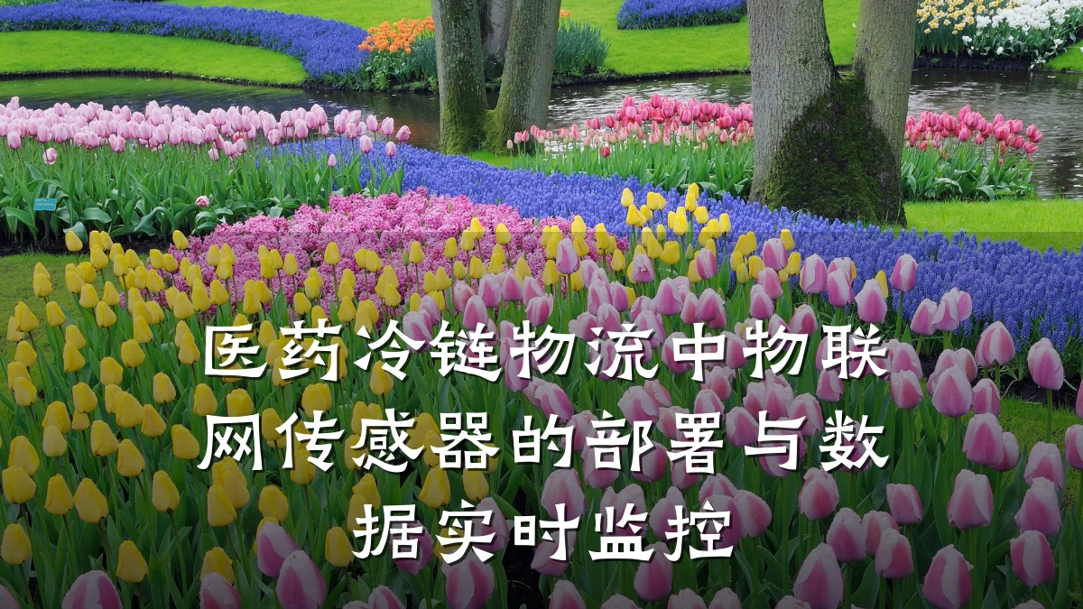医药冷链物流中物联网传感器的部署与数据实时监控