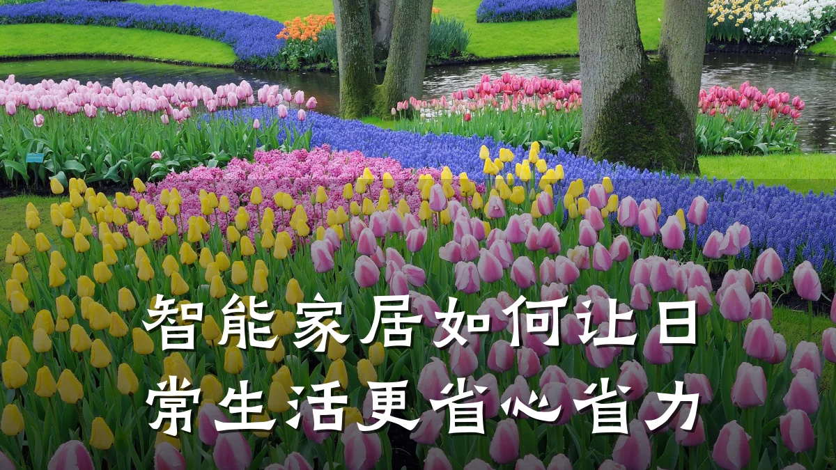 智能家居如何让日常生活更省心省力