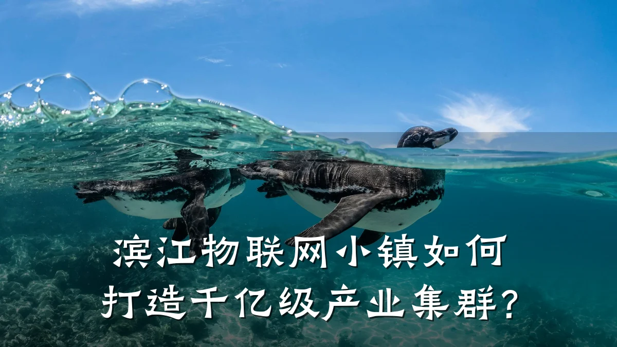 滨江物联网小镇如何打造千亿级产业集群？
