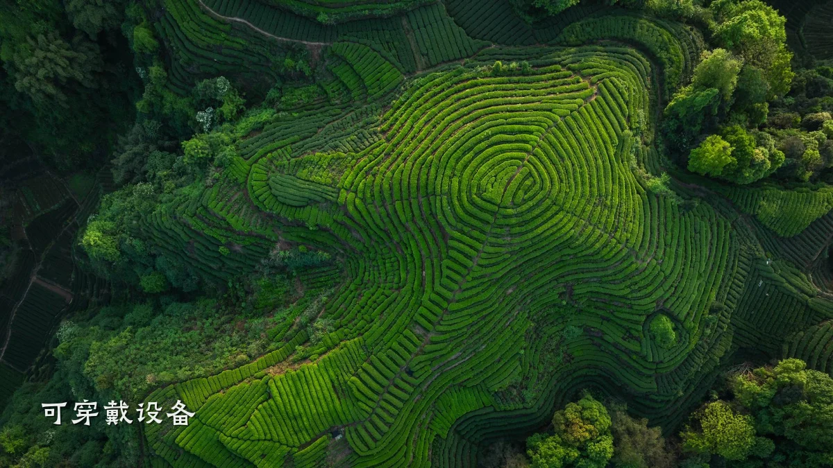 可穿戴设备